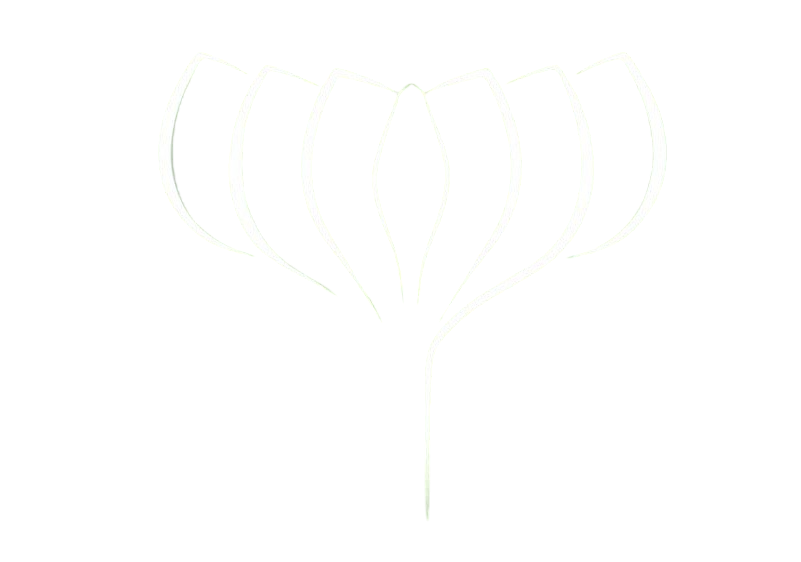 Logo LTIA